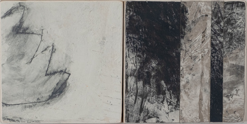 Black + White Series