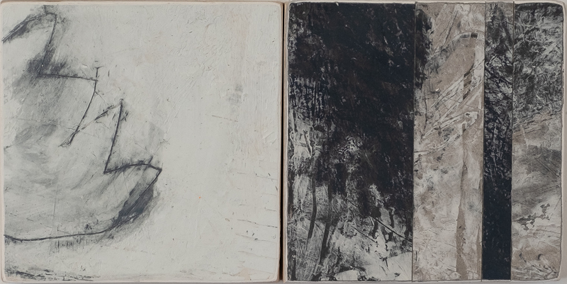 Black + White Series